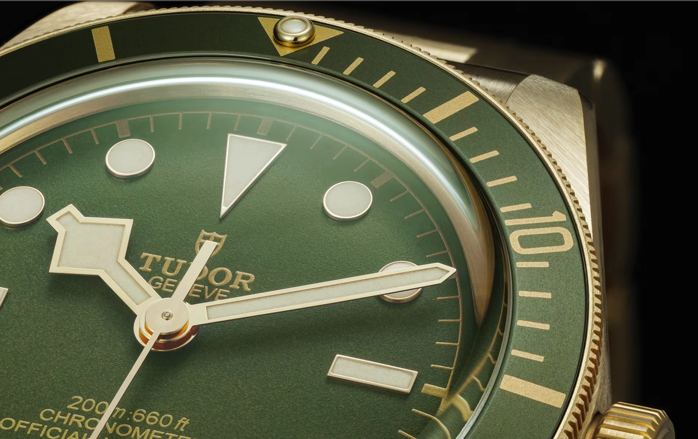 Tudor Black Bay M79018V-0006 (Año 2024)